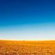 Illustration for article titled Proof that Kansas is not as flat as a pancake - its flatter.